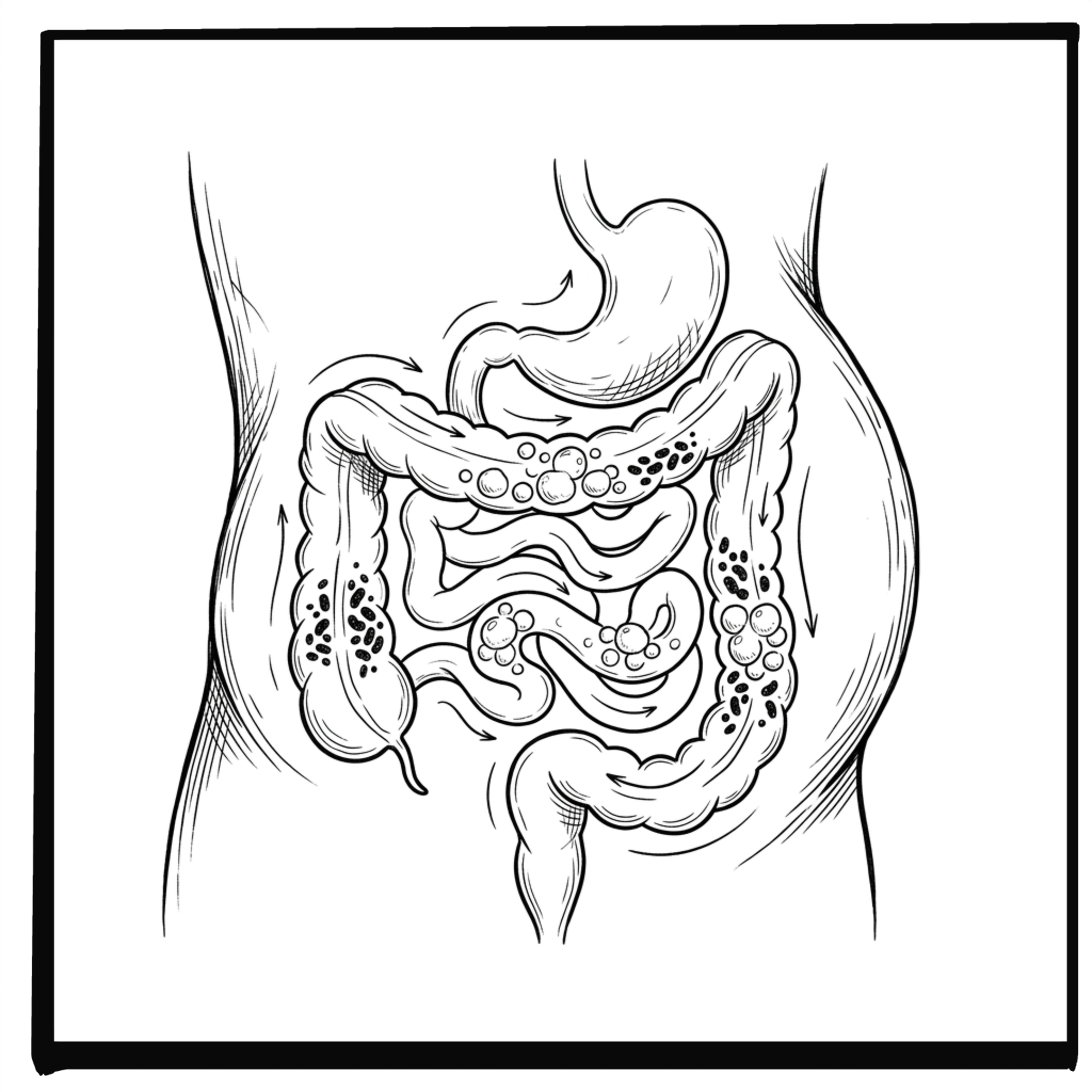 Gas and Bloating: The Symptom Everyone Accepts (But Shouldn’t)