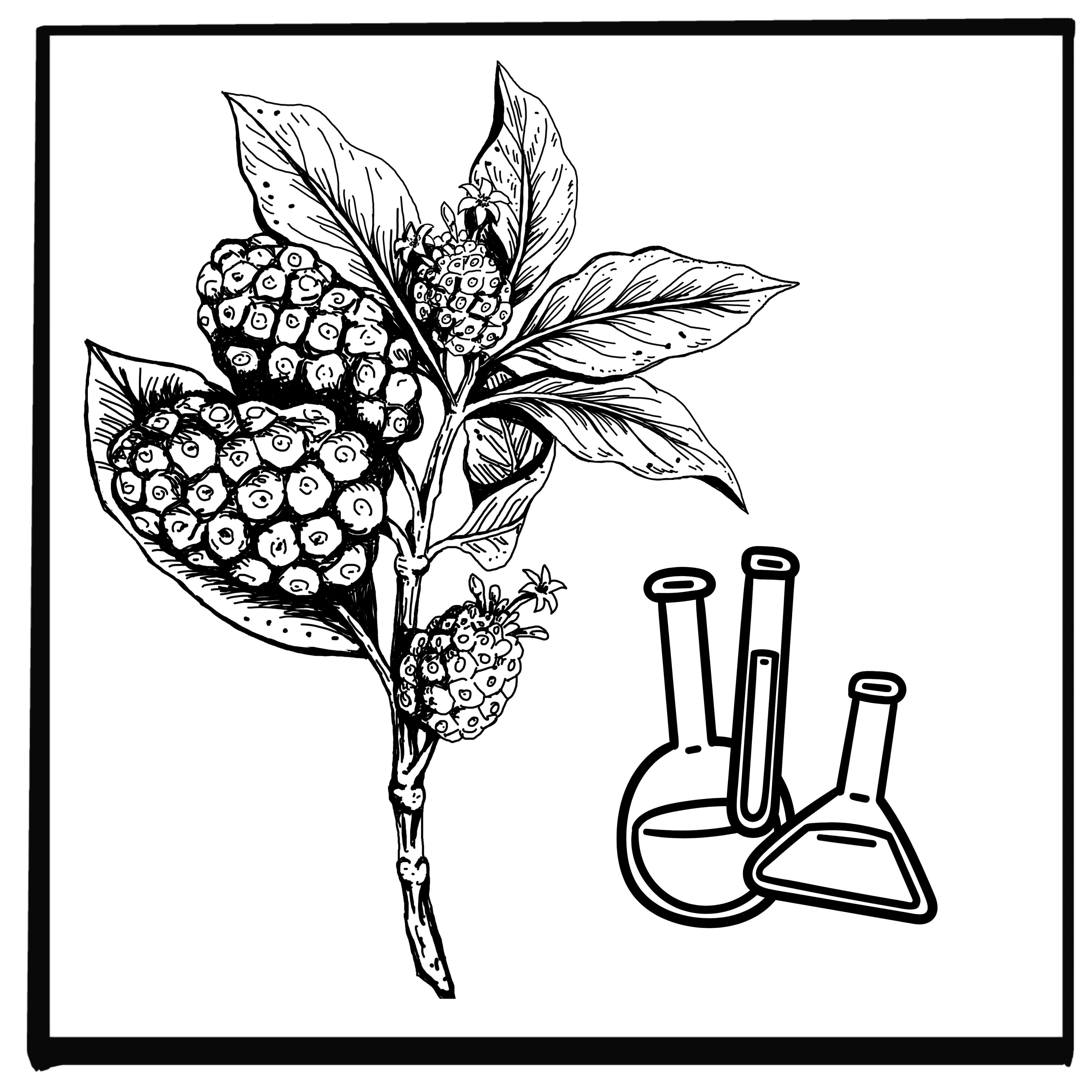 Re:search – The Polyphenol Frontier: How Dr. Ken Brown and KBS Research Are Advancing Nutraceutical Science through Atrantil and Re:flux