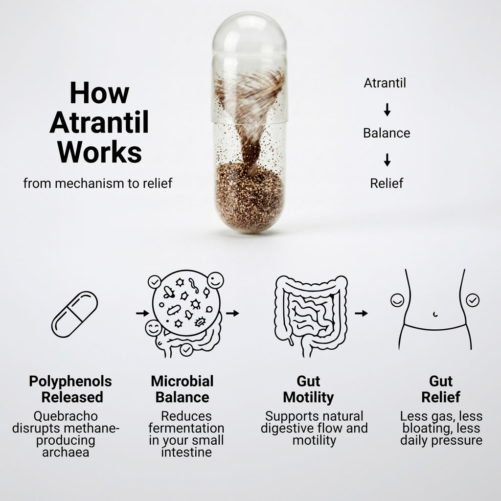 Atrantil Gas + Bloating Relief
