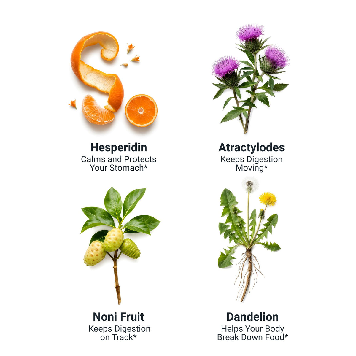 Re:flux ingredients