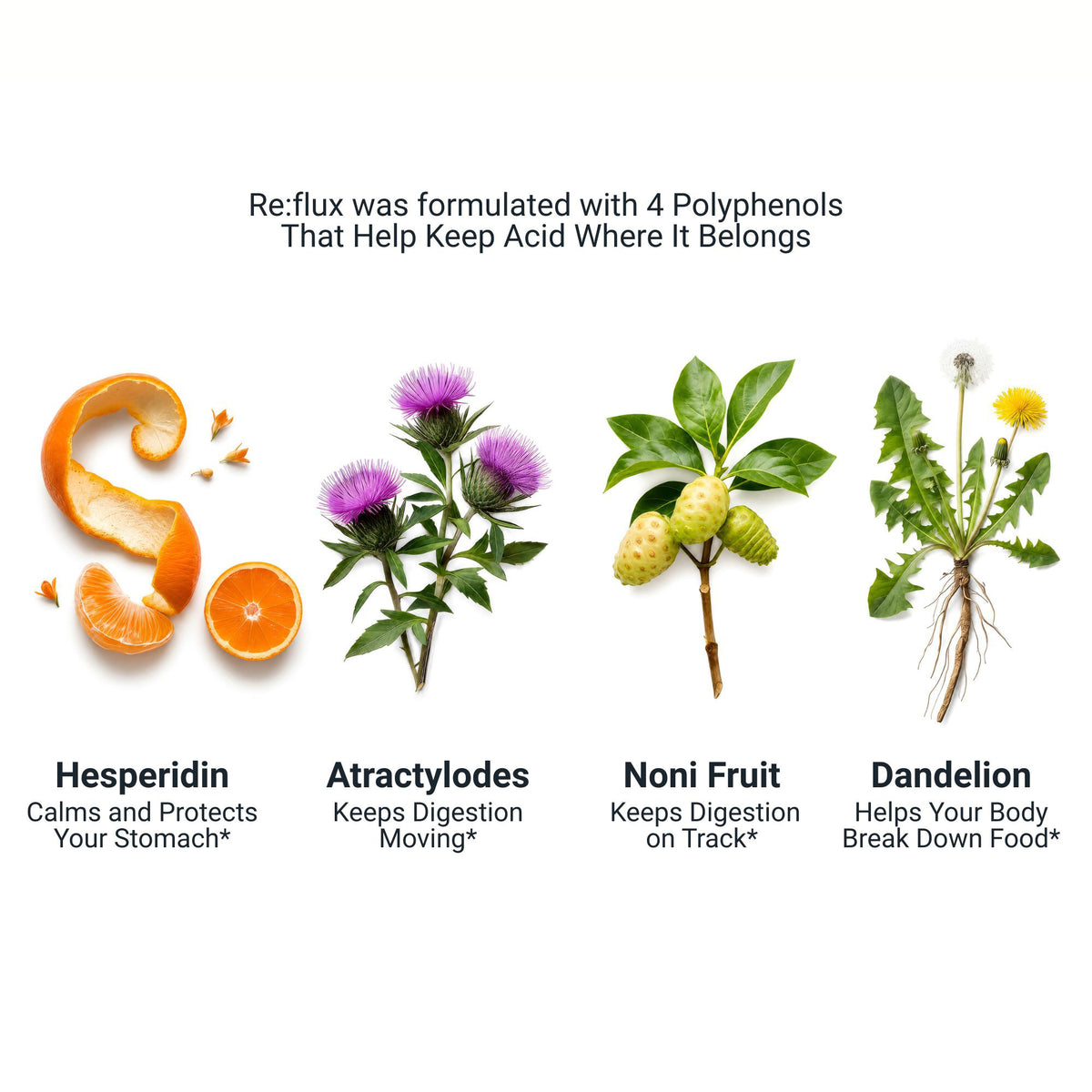 Re:lieve supplement facts