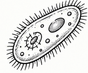 Other Microorganisms