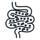 Microbial fermentation