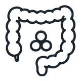 IBS-D